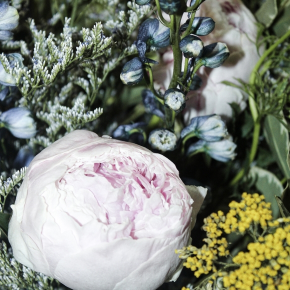 Meet your Posher, Katelyn - Picture 1 of 1